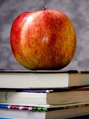 短信验证码轰炸平台免费